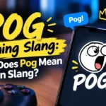 Pog Meaning Slang: What Does Pog Mean in Slang?