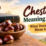 Chestnut Meaning Slang: What Does Chestnut Mean in Slang?